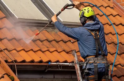 Démoussage et hydrofuge de toiture à Serralongue